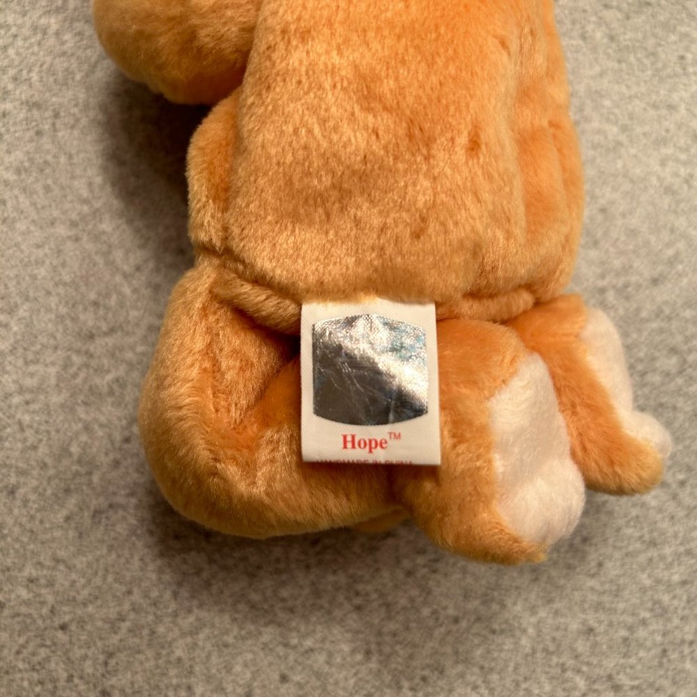 HOPE "THE PRAYING BEAR" - Picture 4 of 8